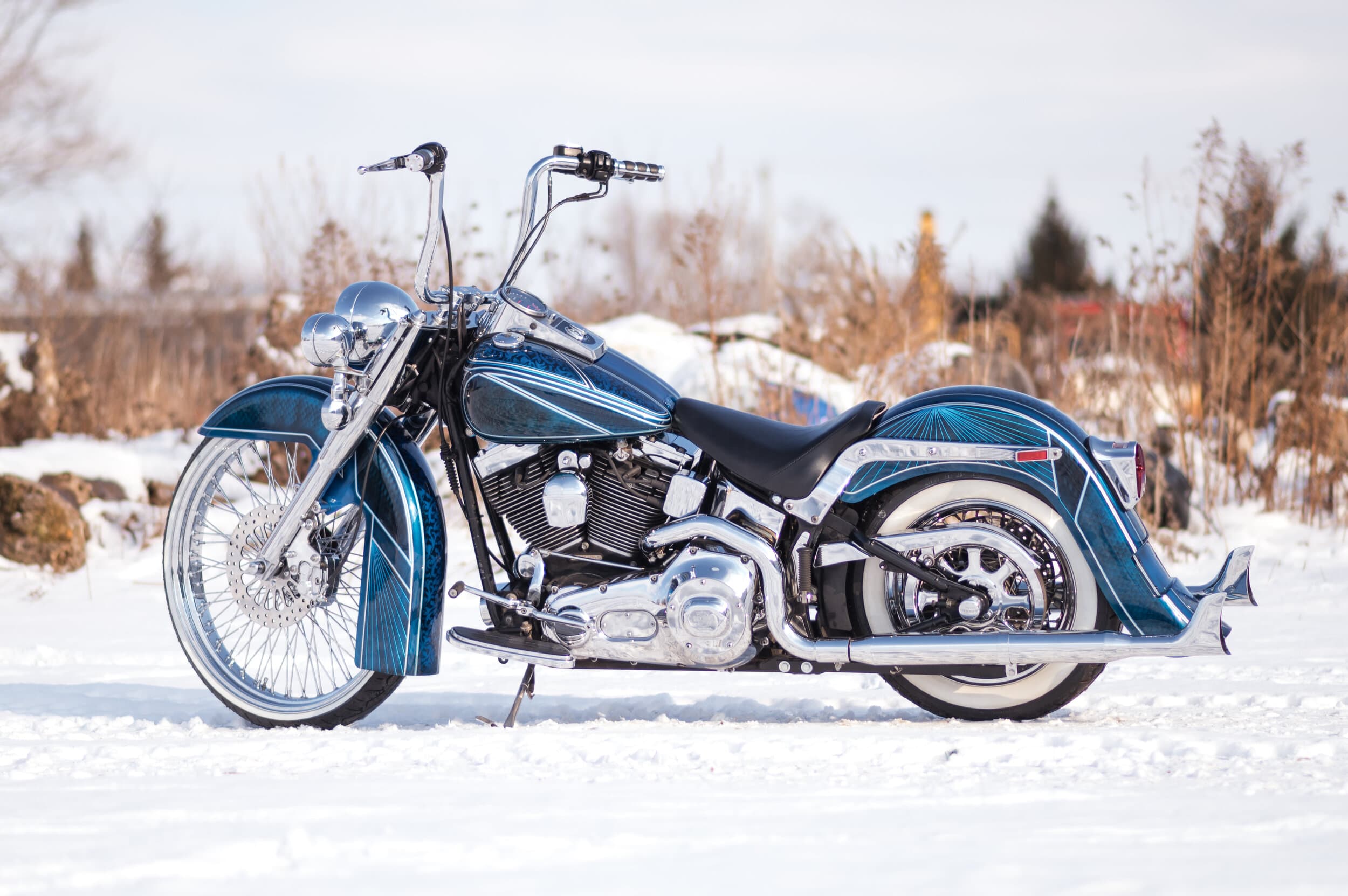Blue custom Harley Softail parked on snow with a winter tree line behind it
